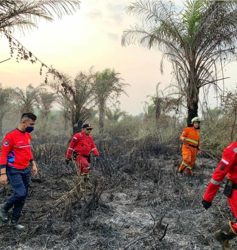 Tercatat 118 Kali Kasus Kebakaran Lahan Di Kota Bengkulu Selama 2023