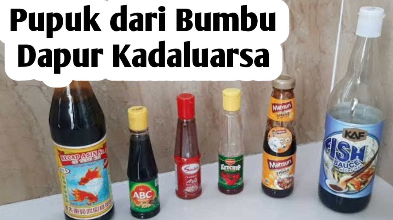 Bumbu Dapur Kadaluarsa Bisa Jadi Pupuk Tanaman, Ini Manfaatnya