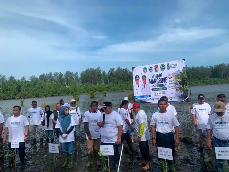 Gandeng Komunitas dan BUMDes, KKMD Mukomuko Gelar Aksi Perdana Tanam Mangrove