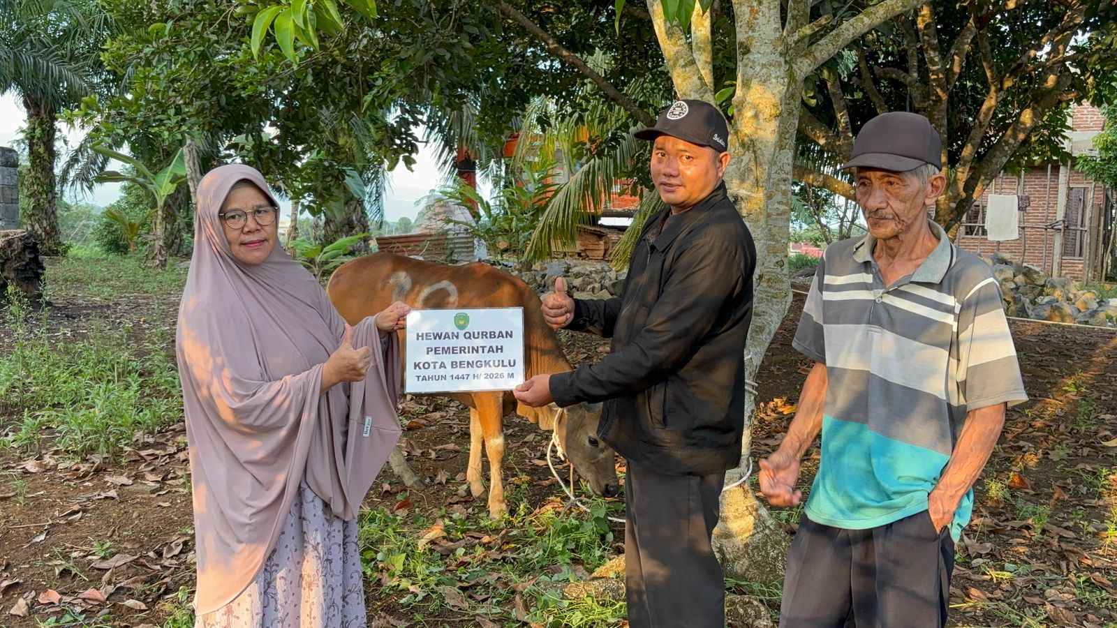 Jumlah Hewan Kurban di Kota Bengkulu Naik 5 Persen, Antusiasme Warga Meningkat