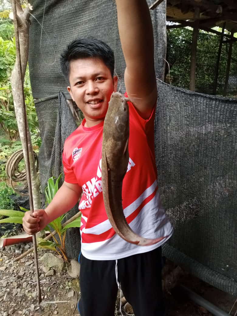 Memancing Lele di Kolam, Ini Umpan yang Paling Mujarab