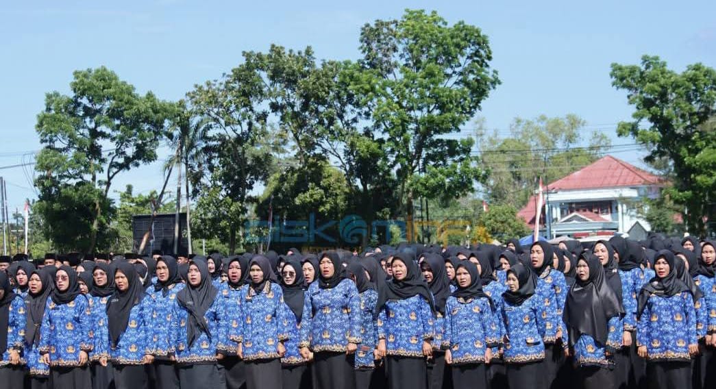 Status Jadi ASN, Gaji PPPK Paruh Waktu di Bengkulu Selatan Masih Setara Honorer