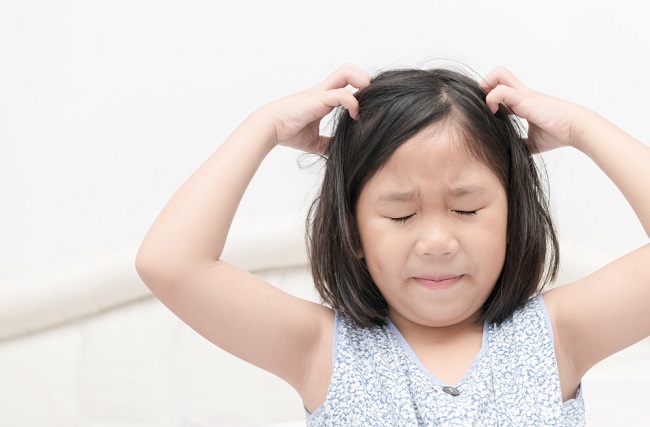 Jangan Panik! Begini Cara Mengatasi Kutu Rambut pada Anak yang Menyebabkan Gatal