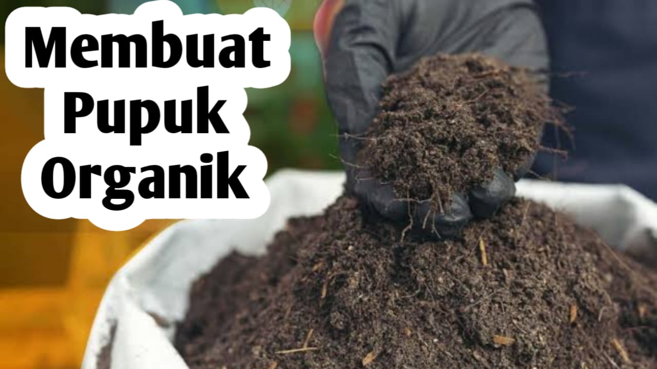 Cara Mudah Membuat Pupuk Organik yang Sehat dan Aman