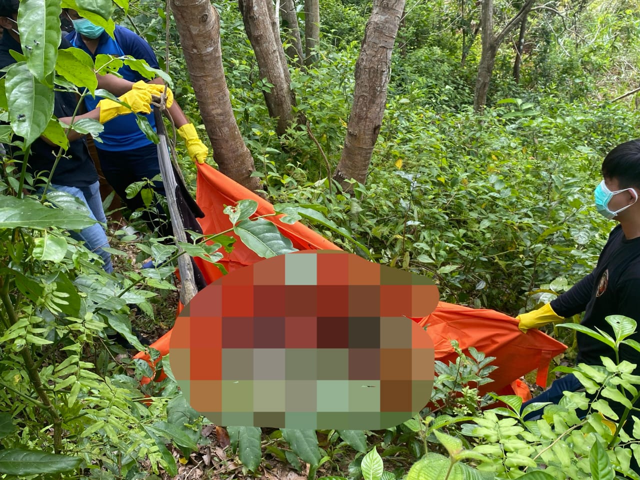 Polisi Resmi Tutup Kasus Mayat Gantung di Kebun Karet Betungan, Dipastikan Murni Bunuh Diri