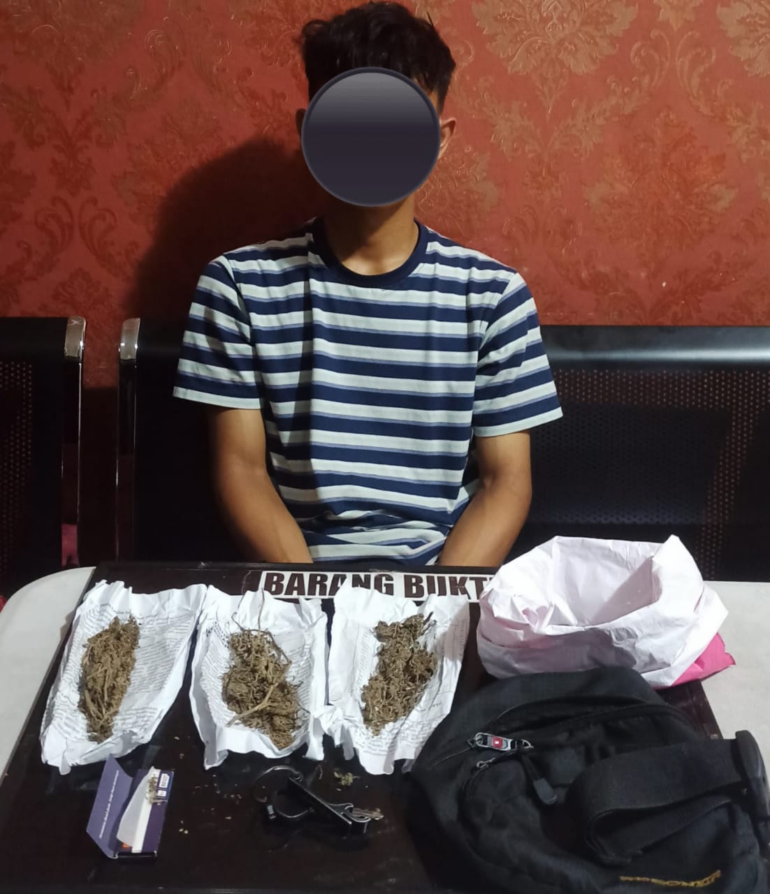 Jual dan Simpan Puluhan Gram Ganja, Sopir di Bengkulu Diamankan