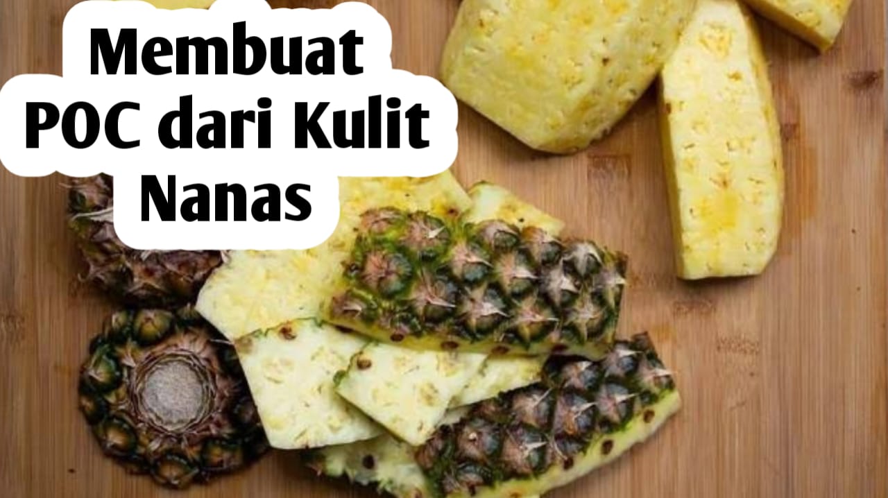 Cara Membuat Pupuk Organik Cair dari Kulit Nanas