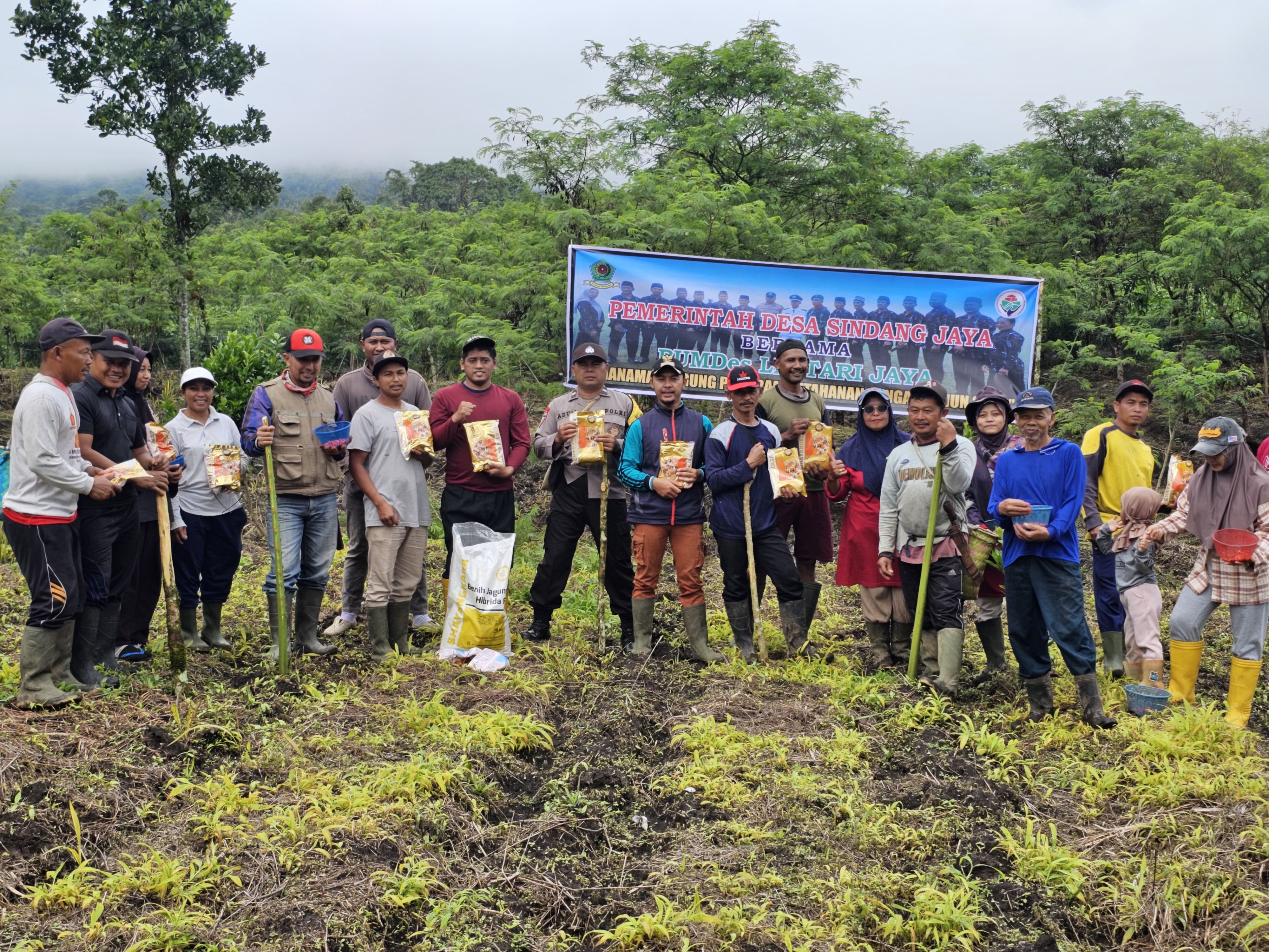 Desa Sindang Jaya Rejang Lebong Sukseskan Program Sadisahe, Tanam Jagung di Lahan Satu Hektar