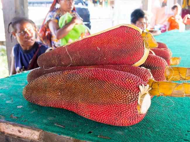 Buah Merah dari Tanah Papua, Punya Sejuta Manfaat bagi Kesehatan