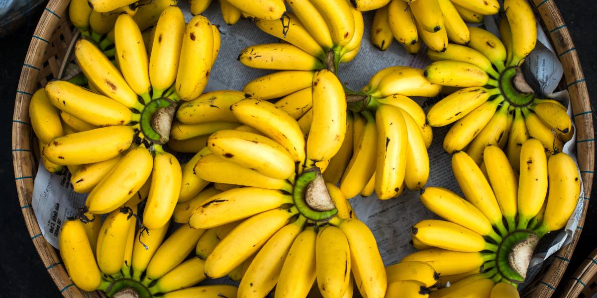 Wajib Tahu! Ini Dia Makanan Untuk Penderita Wasir