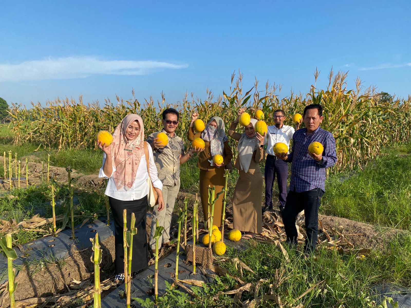 DPRD Kota Bengkulu Apresiasi Petani Alih Fungsi Tanaman untuk Tingkatkan Nilai Ekonomi