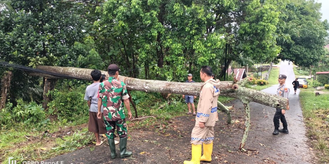 Wujud Sinergitas, TNI/Polri Bersama Masyarakat Evakuasi Pohon Tumbang