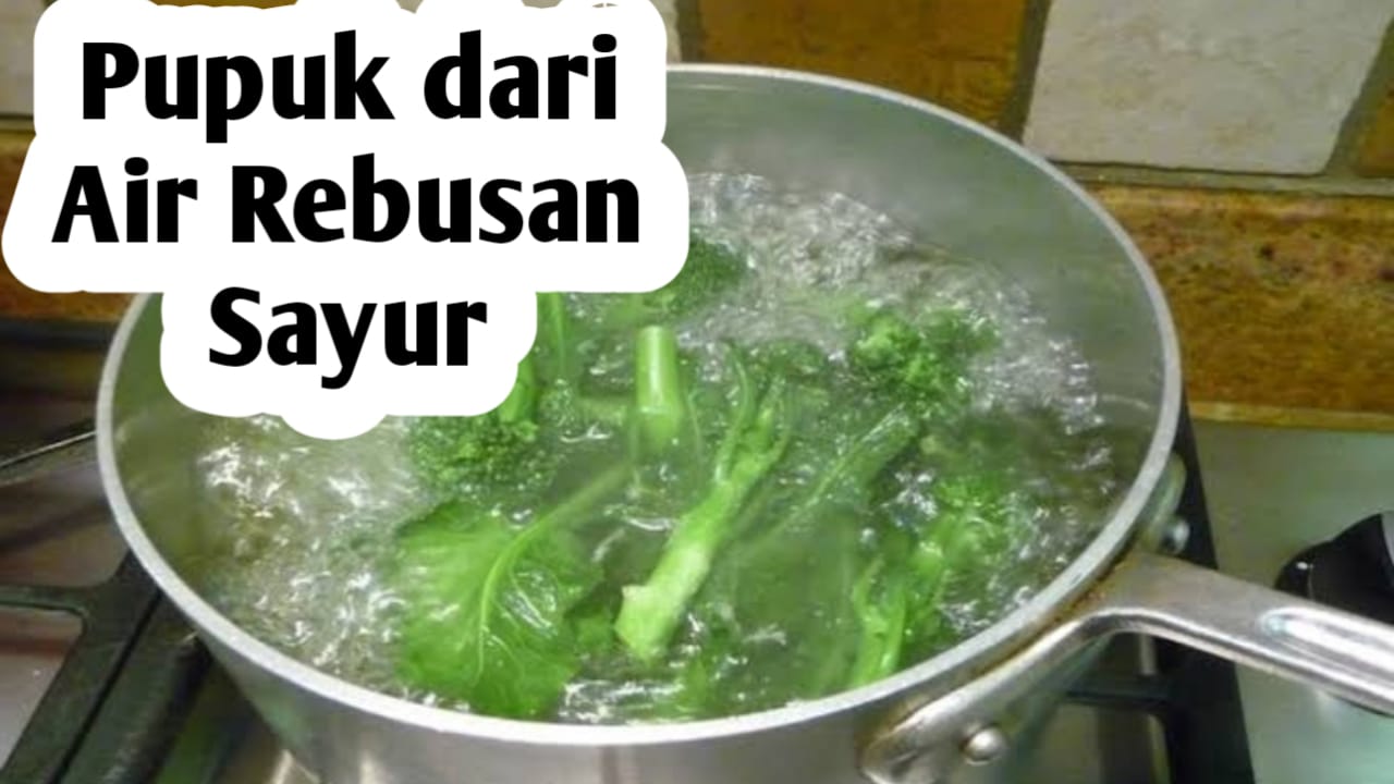 Manfaat Air Rebusan Sayur untuk Pupuk Tanaman