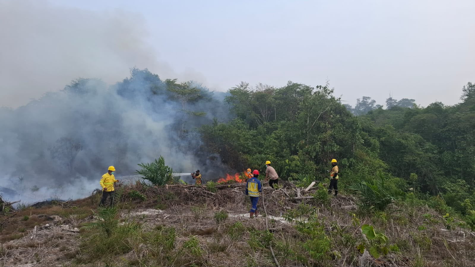 Hadapi Dampak El Nino, Kementerian PU Tangani Karhutla dan Kekeringan di 3 Provinsi