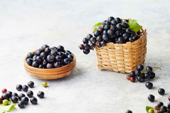 Nutrisi dan Manfaat Blackcurrant Sangat Dibutuhkan Tubuh