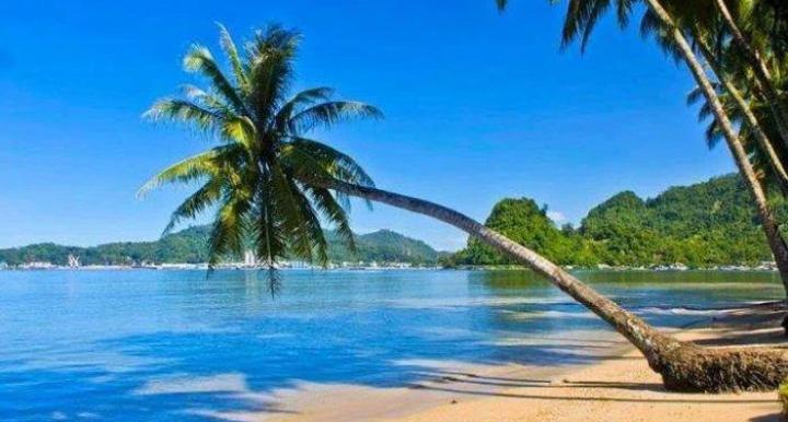 Pantai Seribu Pohon Kelapa, Nikmati keindahan ala Venice Beach Ala Los Angeles di Sumatera Barat