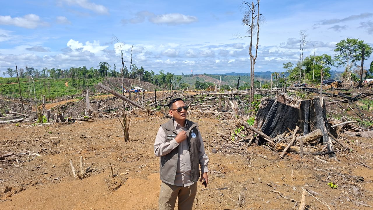 Kemenhut: Gajah Sumatera di Bentang Sebelat Terdesak Perambah, Tersisa 25 Ekor