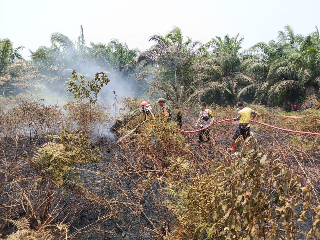 Lahan 700 Meter Terbakar di Ujung Padang, Kapolres Mukomuko Warning Warga Tak Bakar Lahan