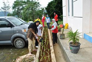 Pemanfaatan Pekarangan Terancam Gagal