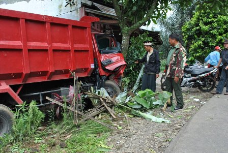 Elak Mobil, Truk Kades Seruduk Pohon