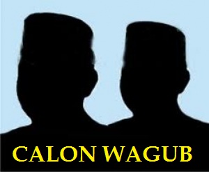 PAN Tetapkan Dua Nama Baru Cawagub