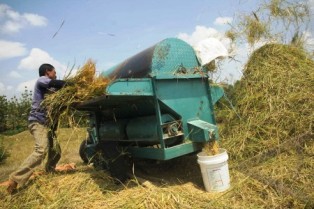 Petani Dibantu Perontok