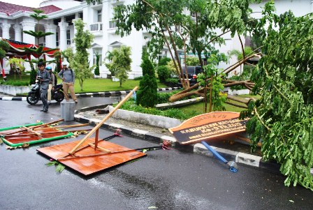 Cuaca Ekstrem, Tiang dan Pohon Roboh