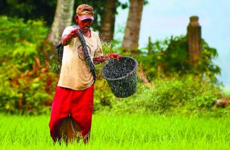 Petani Diimbau Pakai Pupuk Organik