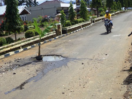 Jalan Berlubang Ditanam Pisang