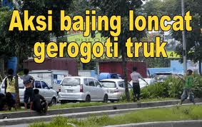 Truk Beras Dijarah