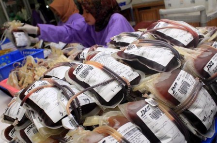 Milad Muhammadyah Ke-103, Hima Kom UMB Gelar Donor Darah