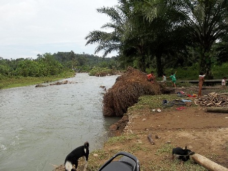 Tanggul Jebol, 20 Rumah Terancam Banjir