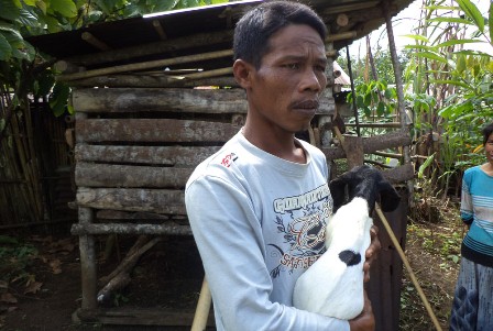 Bayi Kambing Lambang Cinta