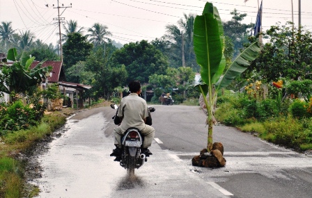 Jalan Negara Ditanami Pisang