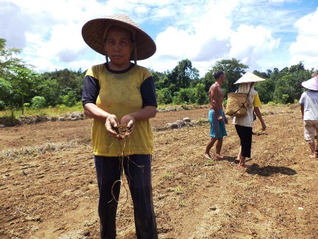 Sawah Terancam Kekeringan