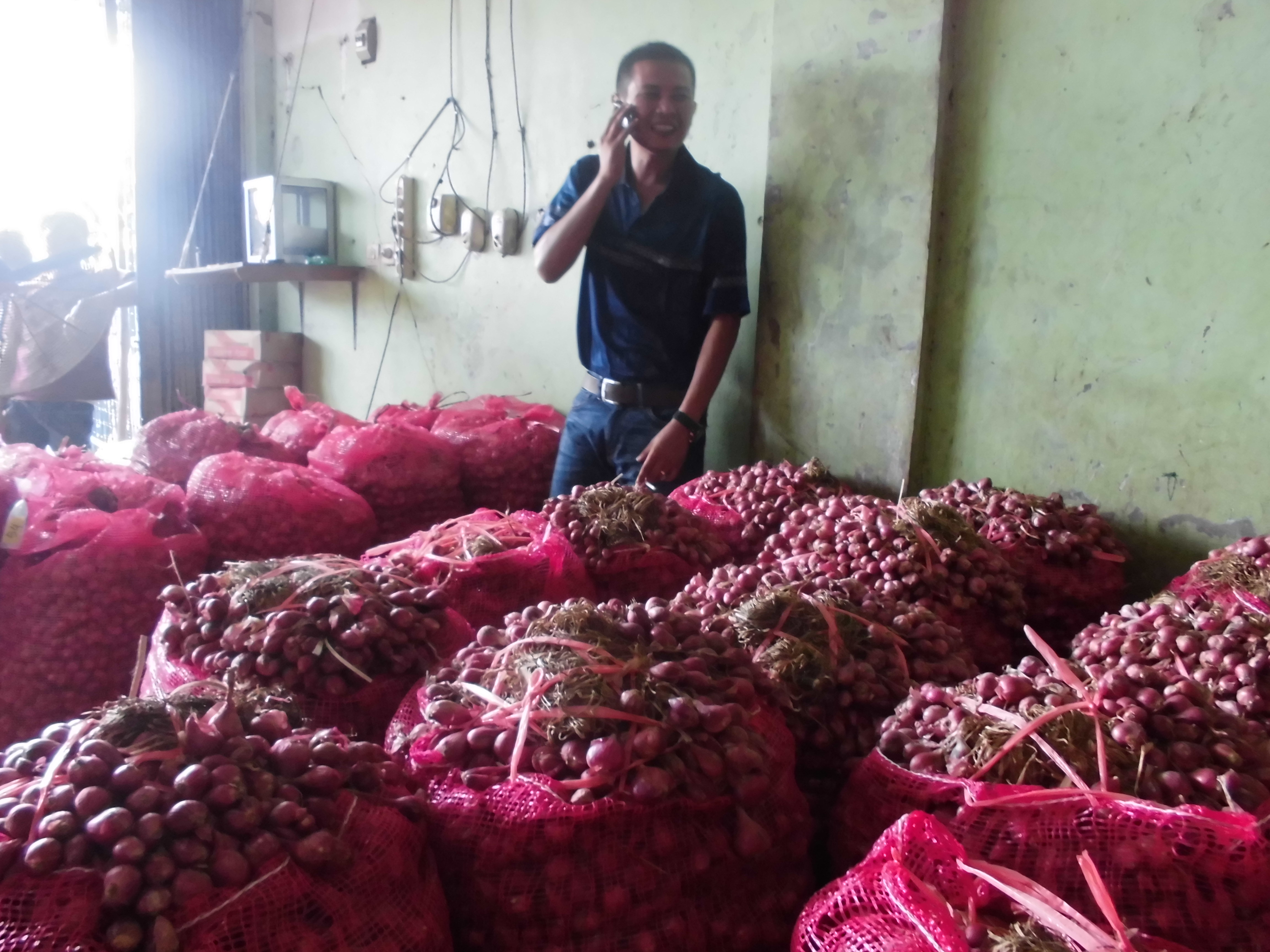 Harga Bawang di Bengkulu Termahal Sepanjang Sejarah