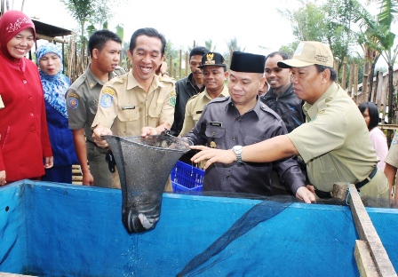 Bupati Panen Lele