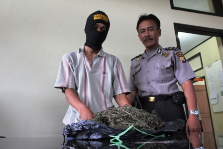 Harga Ganja Turun