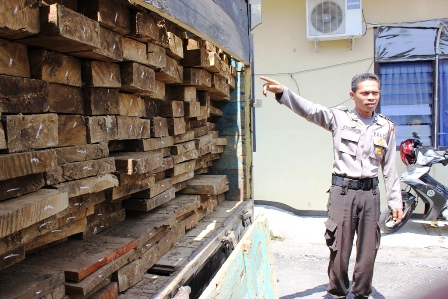 19 Kubik Kayu Diamankan