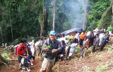 Gembong Ganja RL Terendus