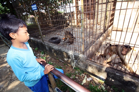 Taman Satwa Tak  Standar Konservasi