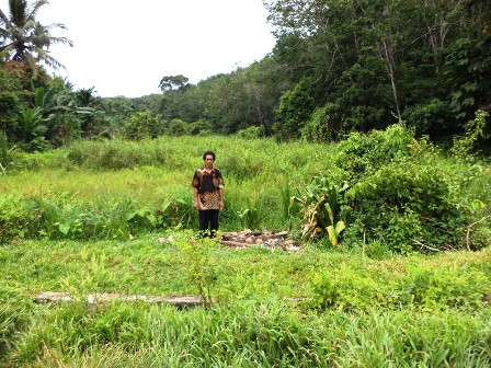 Warga Diimbau Tidak Bakar Lahan