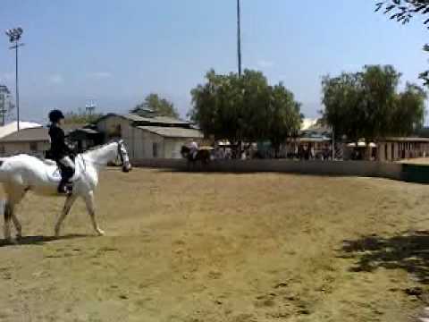 Eqina Gelar Kejurnas Equestrian Jateng Master