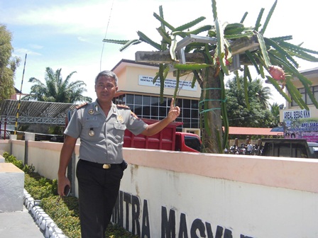 Disiplin dan Cinta Lingkungan