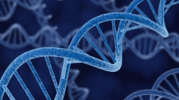 Kesetiaan Pasangan Bisa Diketahui dari Tes DNA