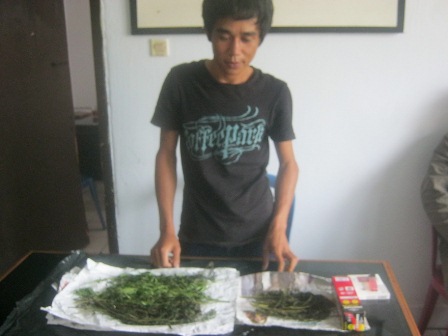 Ganja Dipasok dari Sumsel