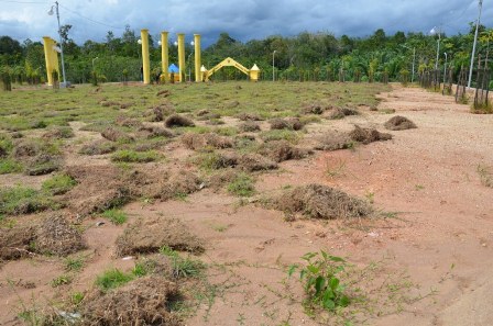 Taman Hijau Tempat Bermain Babi