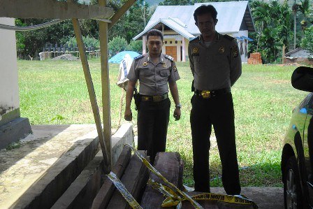 28 Batang Kayu Diamankan