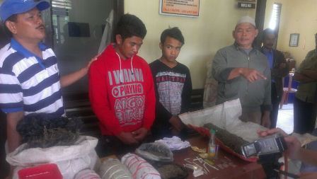 Dua Pengedar Dibekuk, 6,5 Kg Ganja Diamankan