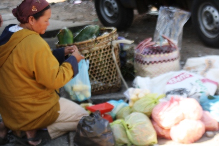 Bertahan Hidup dari Jual Sayur